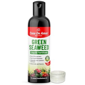 Casa De Amor Natural and Organic Green Seaweed Liquid Plant Boost for Improving Plant Productivity and Soil Quality (200 ml)