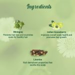 51RjoFNnsGL._SL1000_.jpg