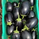 51zZiv1b-tL.jpg