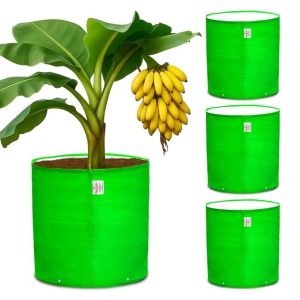 Casa De Amor Premium HDPE Grow Bag 24x24 Inch (4 Packs) ? UV Protected 260 GSM Round Grow Bag for Terrace Gardening, Ideal for Growing Large Fruits & Flowering Plants ? Green Color