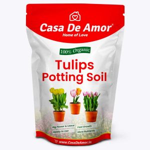 Casa De Amor Essential Tulips Potting Soil Organic 5 Kg