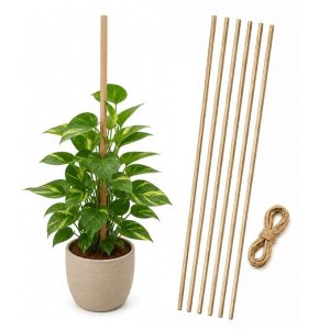 Casa De Amor Natural Teak Wooden Plant Support Sticks, 6 Pcs, 3 Feet