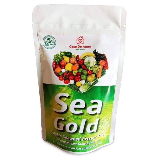 61u6Gcaab5L._SX522_.jpg