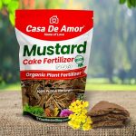 711EnmDYoL._SX522_.jpg