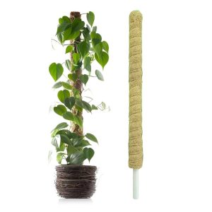 Casa De Amor Coir Stick | Natural Coco Pole Support for Climbing Indoor & Outdoor Plants | Strong Pole for Money Plant, Monstera, Pothos Growth (3 Feet, Set of 1)