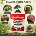 71WmANwOTJL._SX679_.jpg