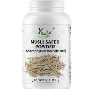Yuvika Musli Safed Powder - Chlorophytum Borivilianum - White Musli 100 Grams