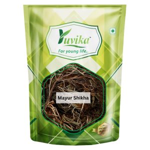 Yuvika Mayur Shikha - Adiantum incisum (200 Grams)