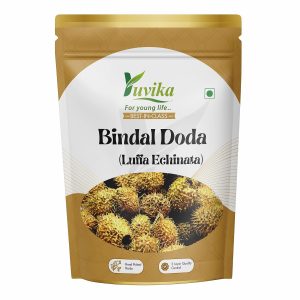 YUVIKA Bindal Doda - Devdali - luffa echinata (100 Grams)