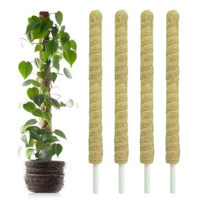 Casa De Amor Coir Stick | Natural Coco Pole Support for Climbing Indoor & Outdoor Plants | Strong Pole for Money Plant, Monstera, Pothos Growth (3 Feet, Set of 4)
